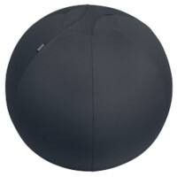 Ballon ergonomique Ergo Leitz Gris foncé 150 kg 65420089 650 x 650 x 650 mm  