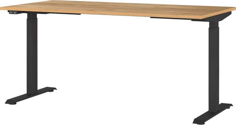 Bureau assis-debout GERMANIA GW-Mailand Hauteur ajustable Brun Chêne T-Pied 1600 (L) x 800 (P) x 1200 (H) mm Aggloméré, Métal