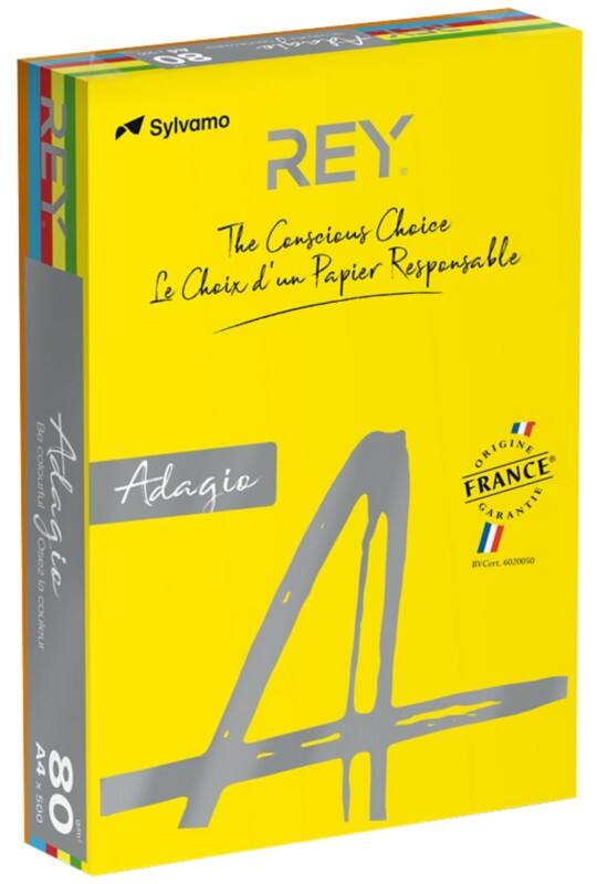 Papier couleur A4 Rey Adagio Assortiment 160 g/m² 5 x 50 feuilles