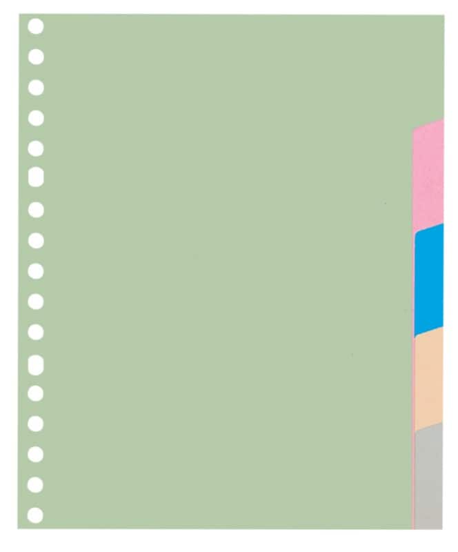Intercalaires vierges Vierge KANGARO  A5 Assortiment 5 intercalaires 180 g/m² Carton 17 Perforations P505M 5 Feuilles
