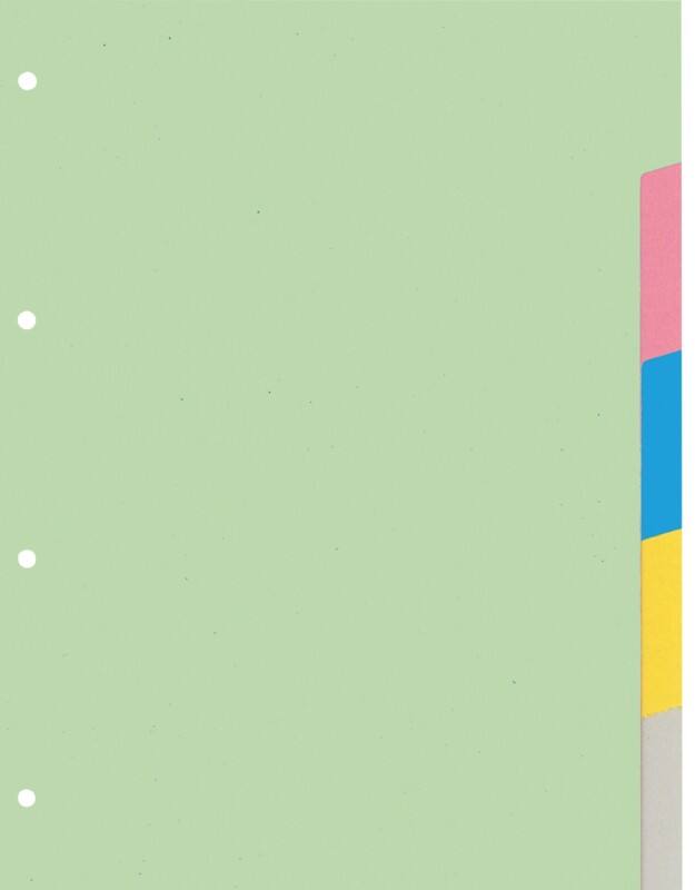 Intercalaires vierges Vierge KANGARO  A4 Assortiment 10 intercalaires 180 g/m² Carton 4 Perforations PE405