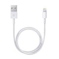 Câble USB-A vers connecteur Lightning Apple USB A Male Apple Lightning 0,5 m Blanc