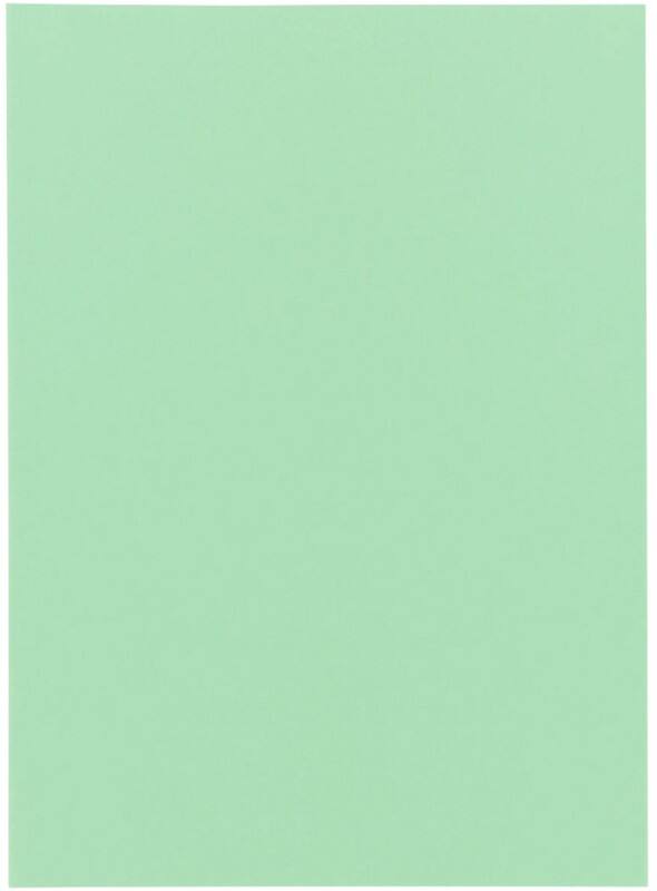 Exacompta Super Dossier A4 Vert Carton 60 g/m² 250 Unités