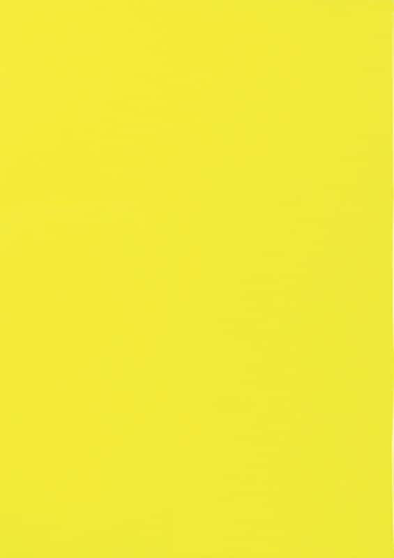 Etiketten VIK-540-GB Klevend A4 Neongeel 210 x 297 mm  25 Vellen à 1 Etiketten