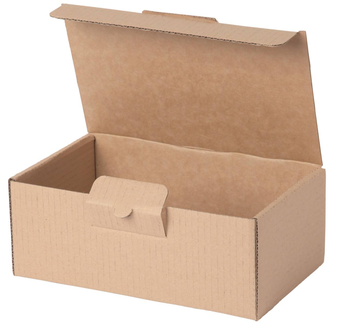 Verzenddozen 250 (B) x 150 (D) x 100 (H) mm 50 Stuks