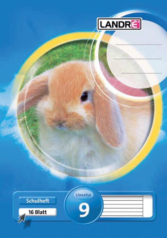 Cahier LANDRÉ Bleu Ligné 9 mm A5 14,8 x 21 cm 80 g/m² 16 Feuilles