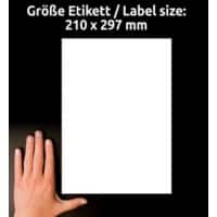 AVERY Zweckform L7567-25 Adresetiketten & Verzendetiketten A4 Transparent 210 x 297 mm 25 Vellen à 1 Etiketten