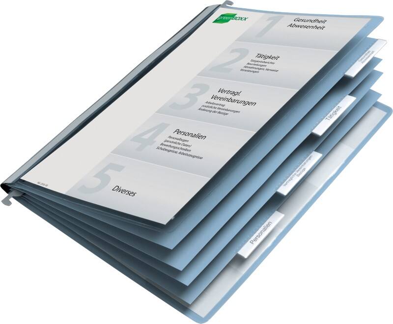 DURABLE Snelhechters 2554 A4 Blauw PVC 5 vakken 6 x 31 cm 5 Stuks