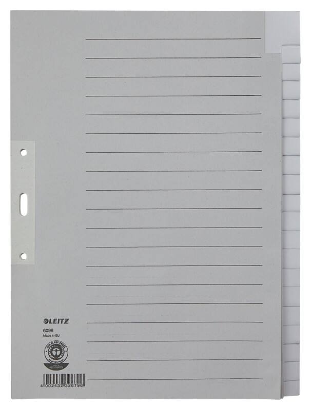 Leitz Blanco Tabbladen A4+ Grijs 20 tabs Karton 3 Gaten 60960085