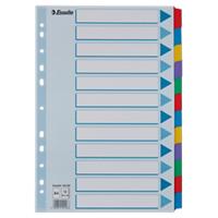 Intercalaires Esselte Vierge A4 Assortiment 12 intercalaires Carton 11 Perforations 100169