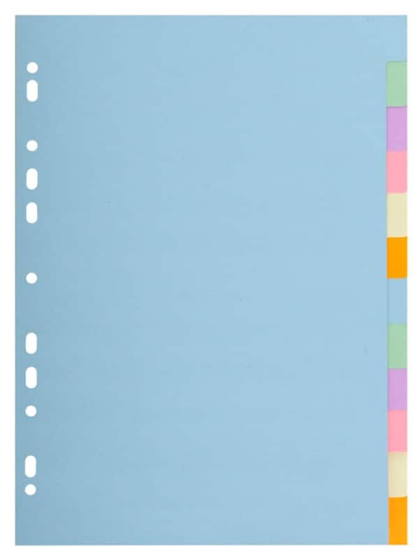 Exacompta Forever Blanco tabbladen 100% Gerecycled A4 Kleurenassortiment 12 tabs 170 g/m² Karton 11 Gaten 1612E