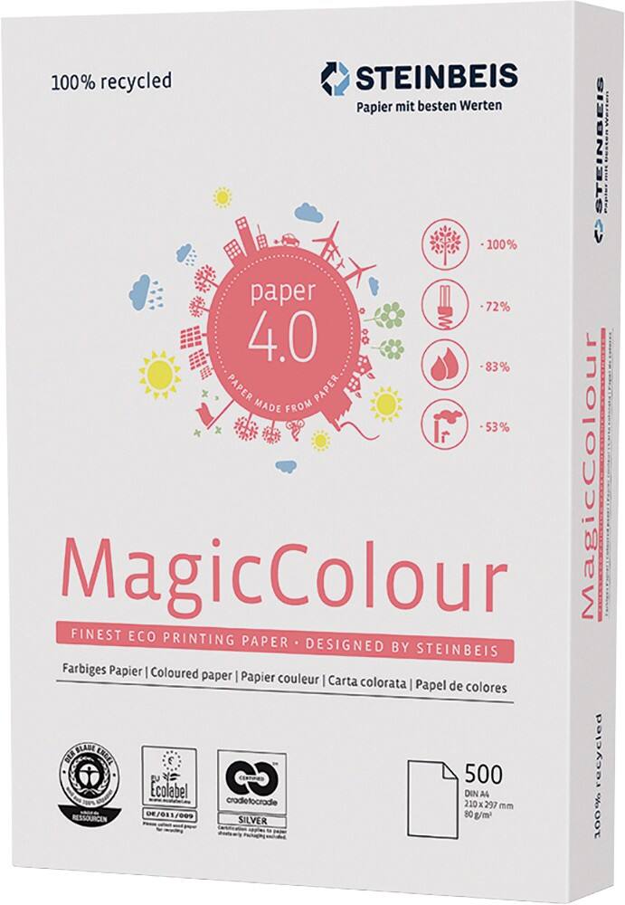 Steinbeis Gerecycled Magic Pastel Printer print-/ kopieerpapier A4 80 gram Pastel groen 500 vellen