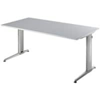 Bureau Hacmerbacher Gris 160 x 80 x 72 cm