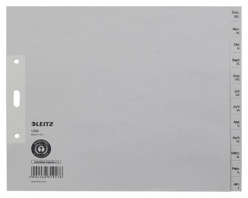 Leitz Dec - Jan Maand-tabbladen Gerecycled A5 Grijs 12 tabs 100 g/m² Karton 3 Gaten 1230