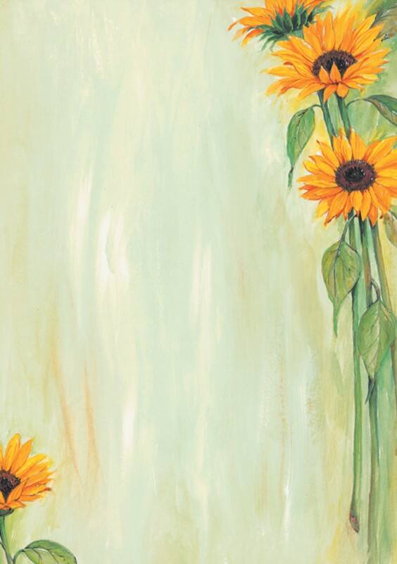 Sigel DP694 90 g/m² 21 x 29,7 cm A4 25 Feuilles