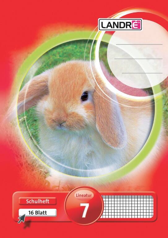 LANDRÉ A5 80 g/m² 16 vellen geruit 7mm