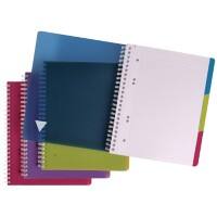 Clairefontaine Linicolor A4+ Spiraalschrift Kleurenassortiment PP Kaft Geruit 120 Vellen