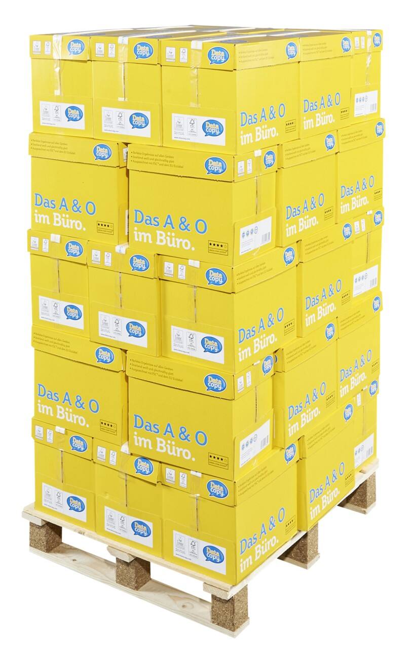 Data Copy Everyday Printing Multifunctioneel print-/ kopieerpapier A4 80 gram Wit 240 Stuks à 500 vellen