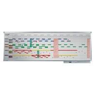 Legamaster Jaarplanner magnetisch Professional Wit 150 x 75 cm