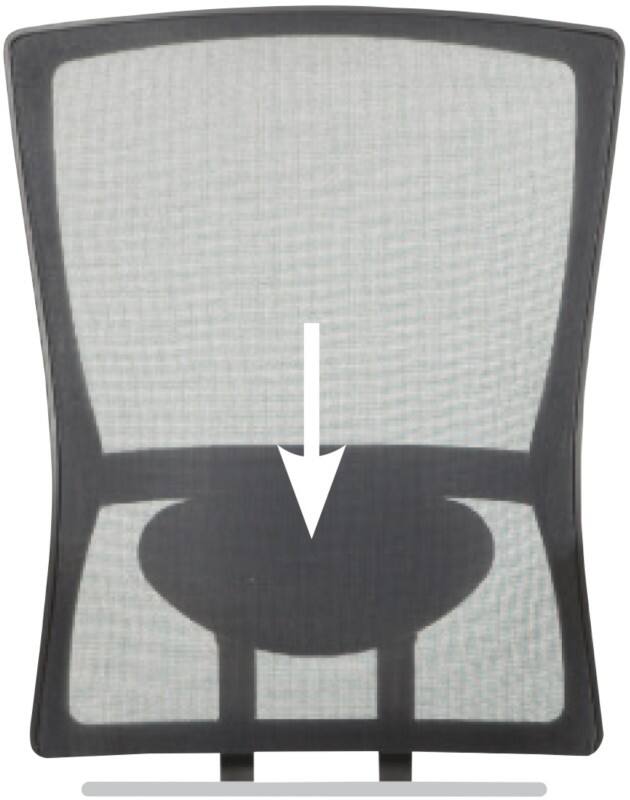 Schaffenburg Lumbar Support for Desk Chair 300-Nen