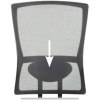 Schaffenburg Lumbar Support for Desk Chair 300-Nen