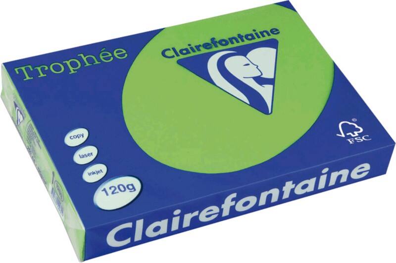 Papier couleur A4 Clairefontaine Menthe 120 g/m² Mat 250 Feuilles