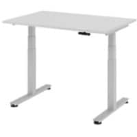 Bureau assis-debout Hacmerbacher Ergonomic Aktiv XDSM 12/5/S Gris clair 120 x 80 x 63,5 cm