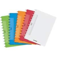 Adoc Colourlines Schrift A4 Geruit Spiraal gebonden PP (Polypropeen) Kleurenassortiment 144 Pagina's